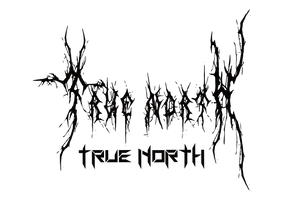 We are True North. Tattoo inspired Alternative streetwear and lifestyle wear. We specialise in making the comfiest g-strings, loungewear and streetwear to make you look and feel like a absolute baddie.